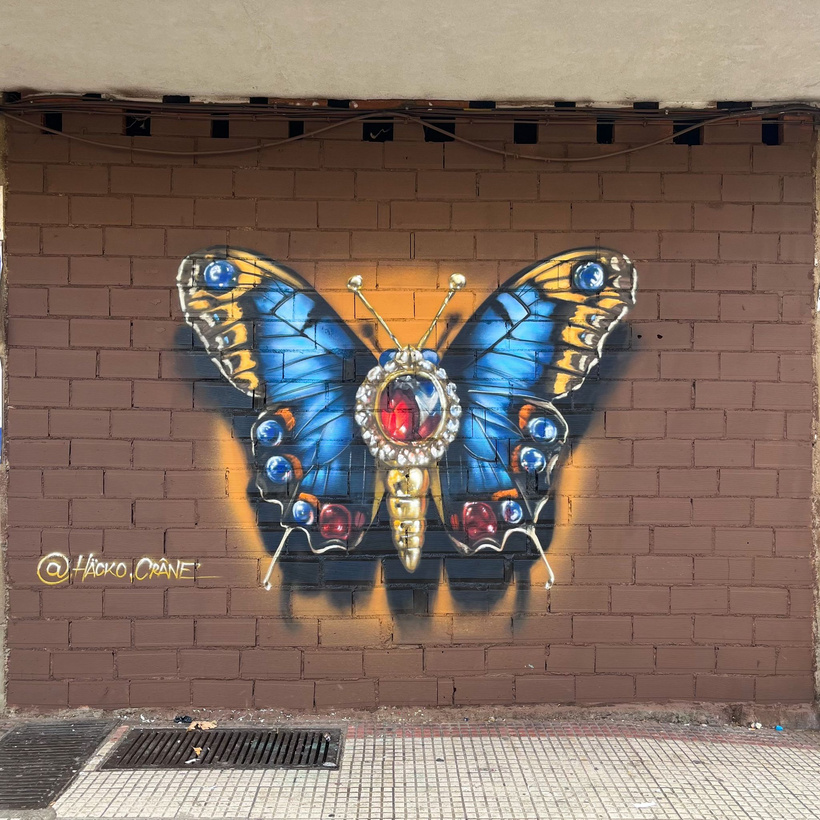 S/T — León Jam
